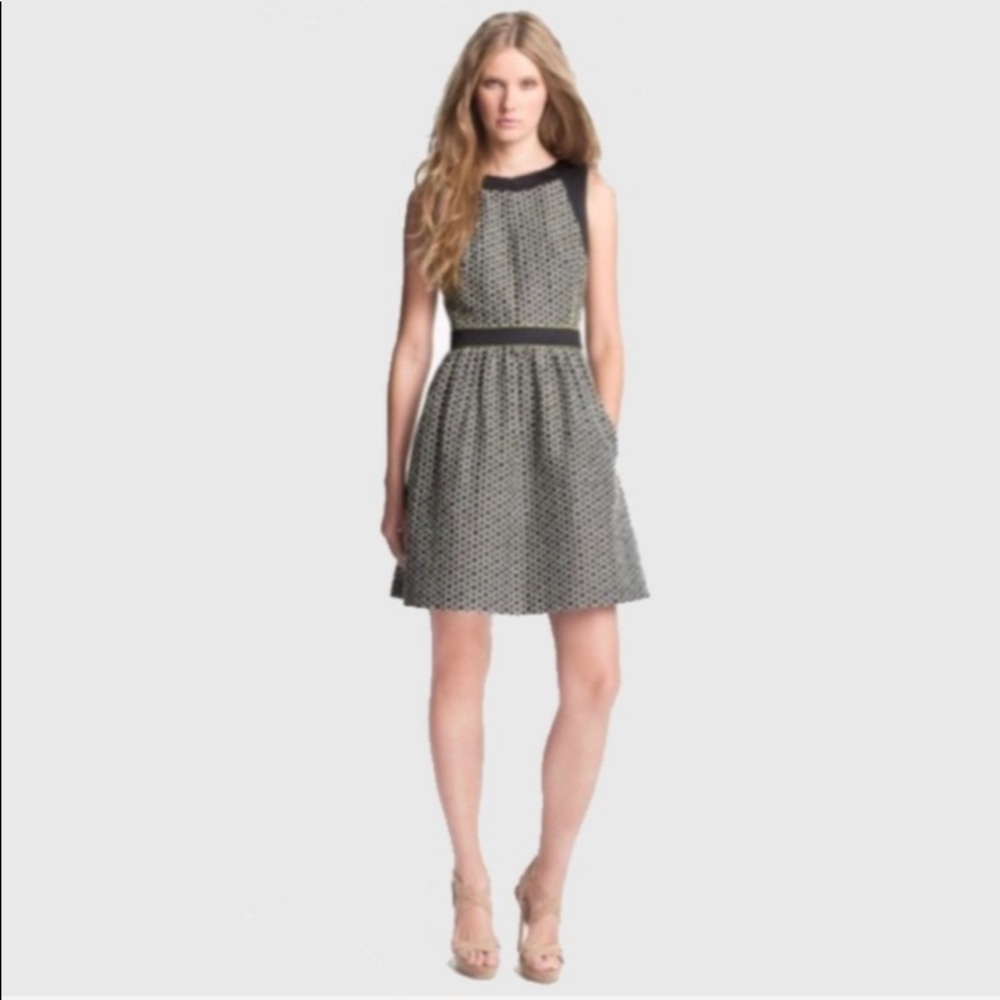McGinn Sleeveless Fit and Flare Dress